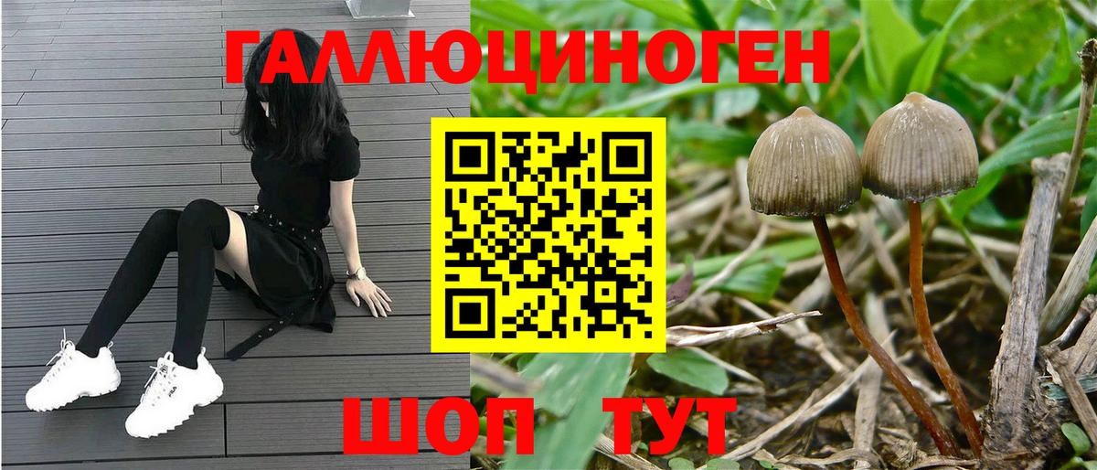 Галлюциногенные грибы GOLDEN TEACHER  Вход с VPN  Урус-Мартан 